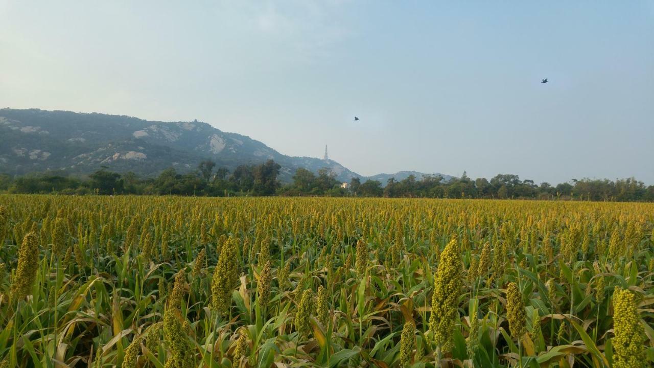 金門廣緣民宿 Guang Yuan B&B Jinsha Luaran gambar